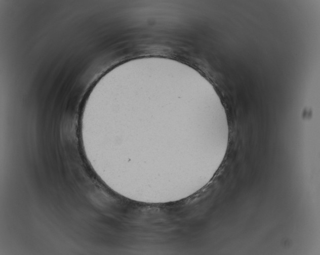 X0000089450146200707131934