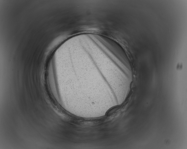 X0000089450149200707131934