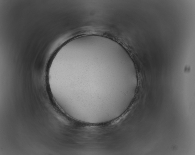 X0000089450150200707131934