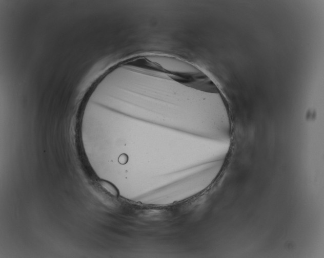 X0000089450151200707131934