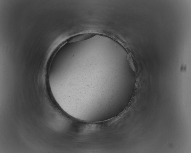 X0000089450152200707131934