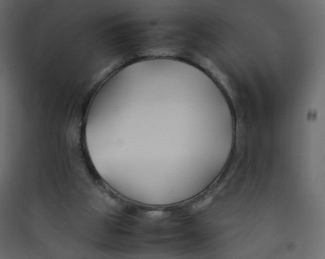 X0000089450153200707131934