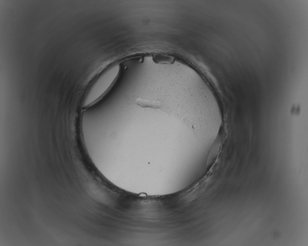 X0000089450154200707131934