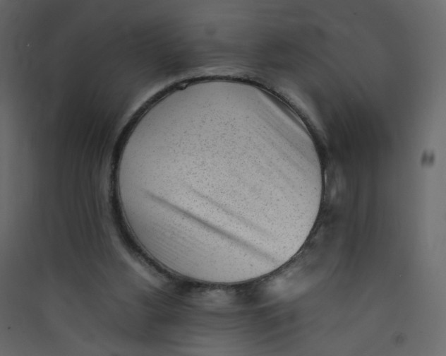 X0000089450156200707131934