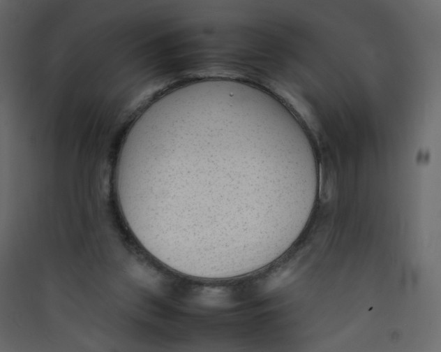 X0000089450157200707131934