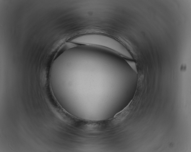 X0000089450158200707131934