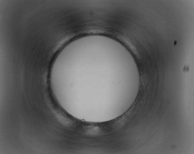 X0000089450159200707131934