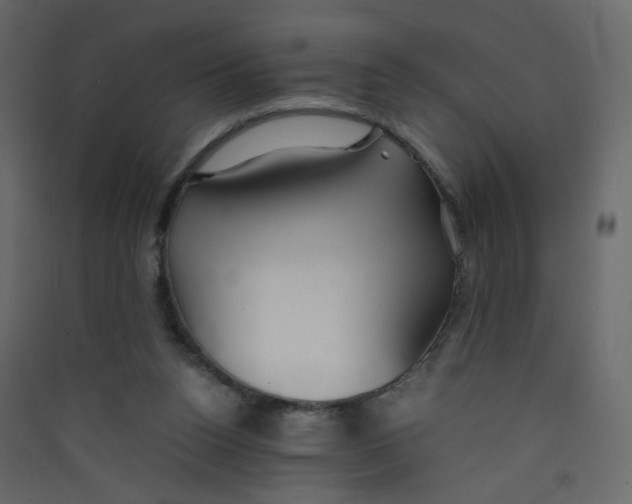 X0000089450160200707131934