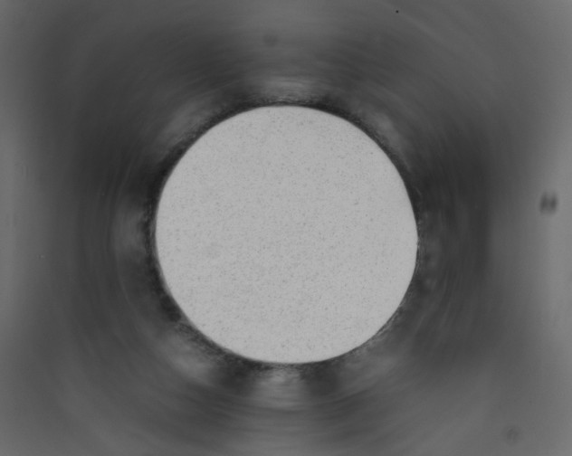 X0000089450162200707131934