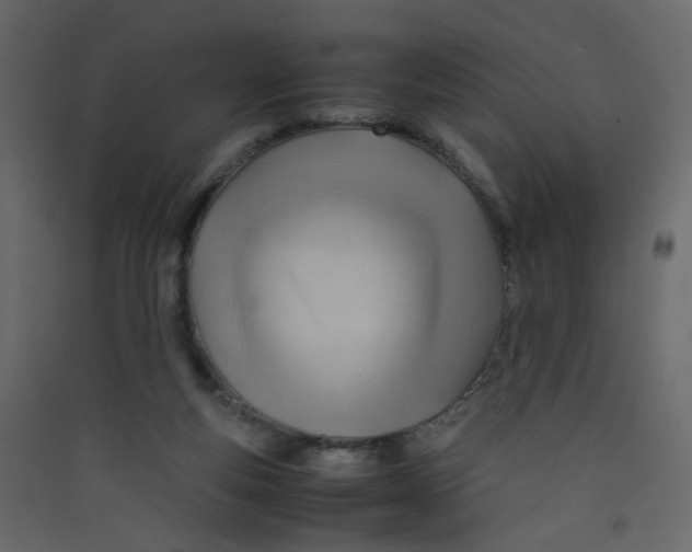 X0000089450163200707131934