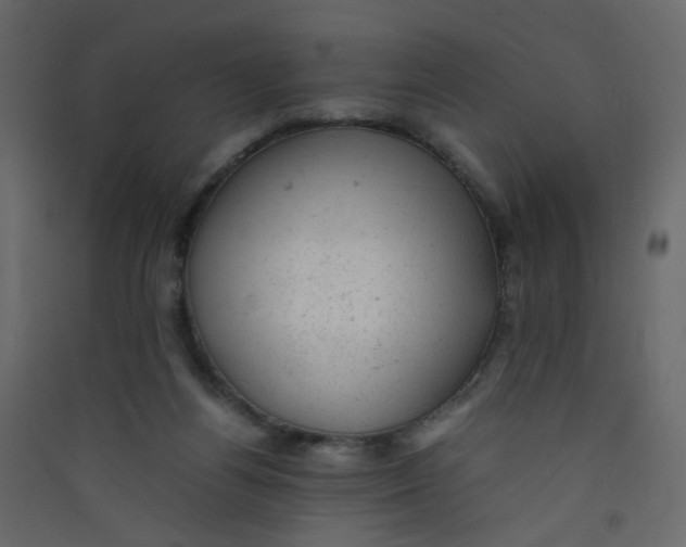 X0000089450164200707131934