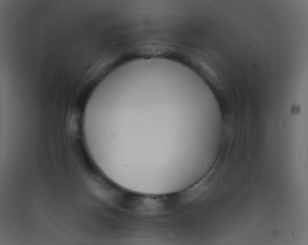 X0000089450166200707131934