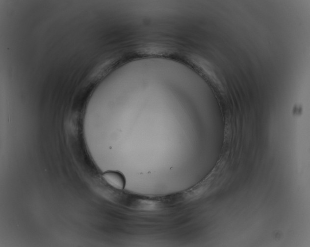 X0000089450167200707131934