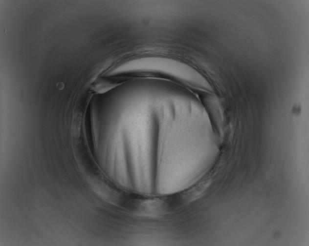 X0000089450168200707131934