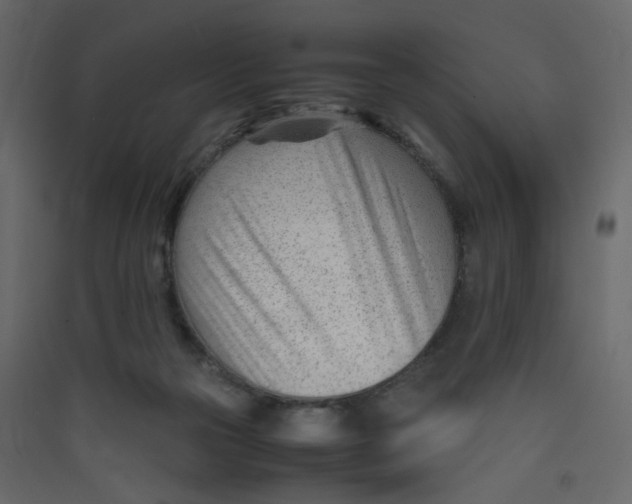 X0000089450169200707131934