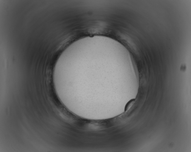 X0000089450171200707131934