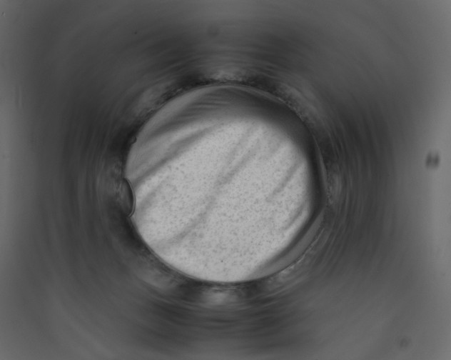 X0000089450175200707131934