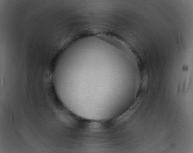 X0000089450176200707131934