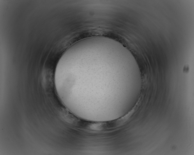 X0000089450178200707131934