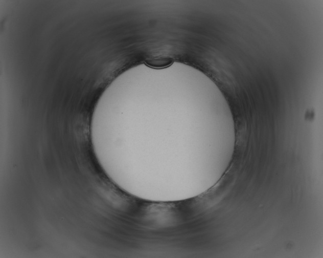 X0000089450179200707131934