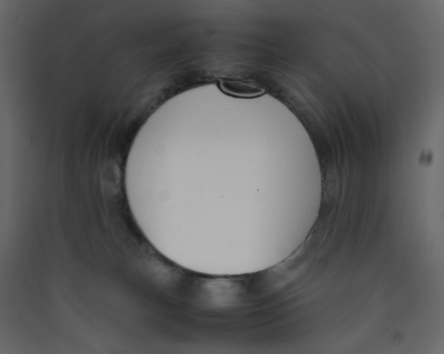 X0000089450183200707131934