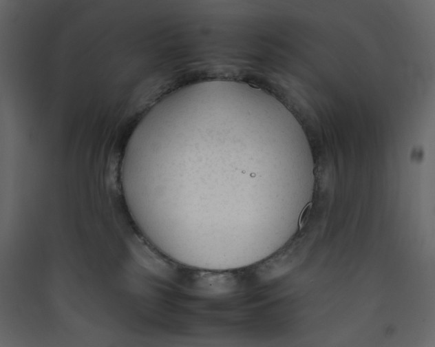 X0000089450185200707131934