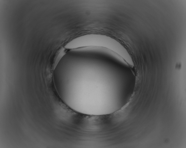 X0000089450186200707131934