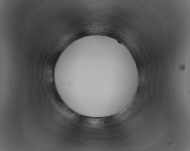 X0000089450187200707131934