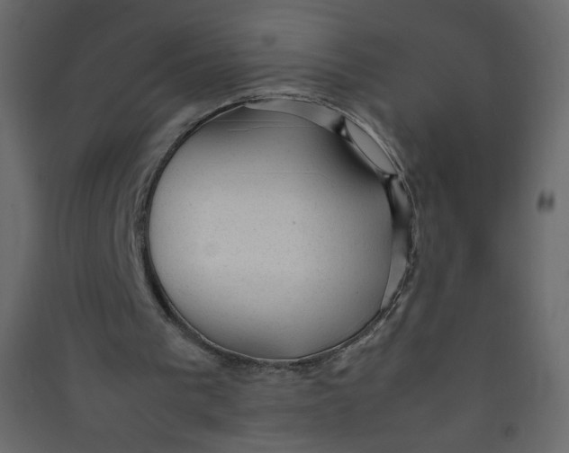 X0000089450193200707131934