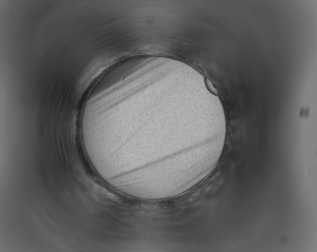 X0000089450194200707131934