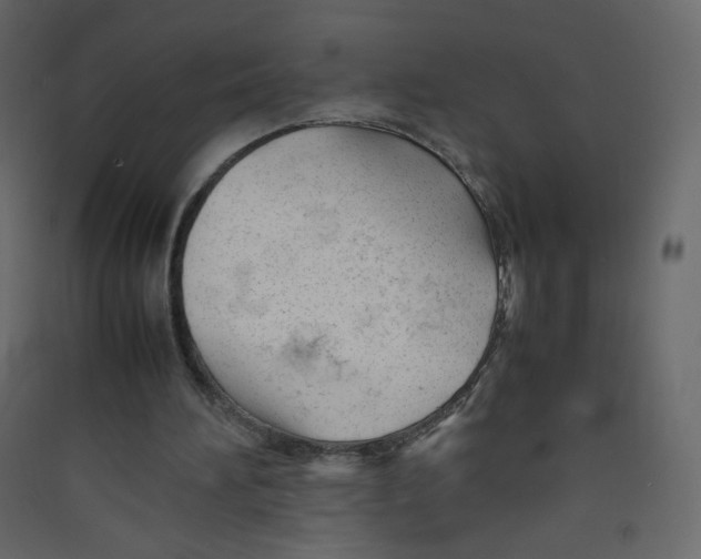 X0000089450196200707131934