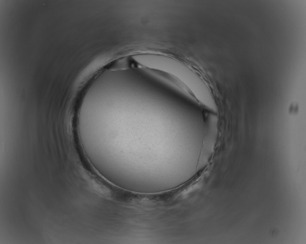 X0000089450197200707131934