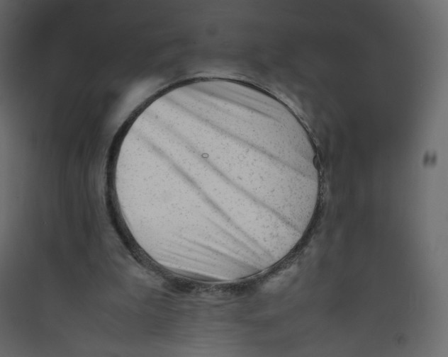 X0000089450199200707131933