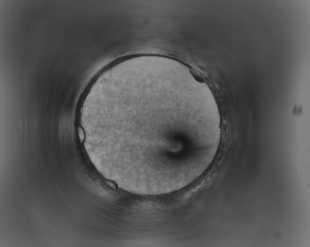 X0000089450200200707131933