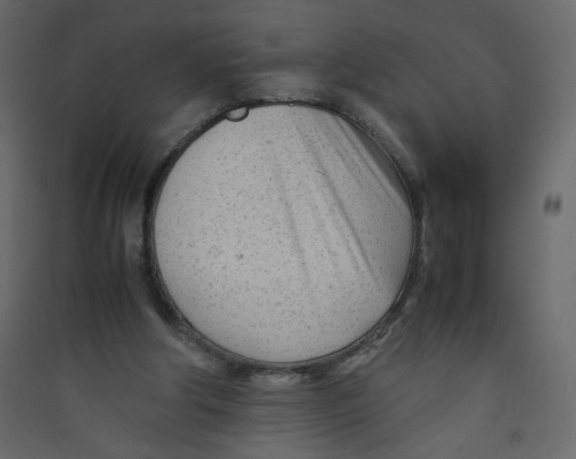 X0000089450202200707131933