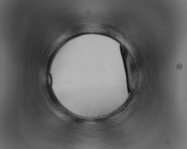 X0000089450203200707131933