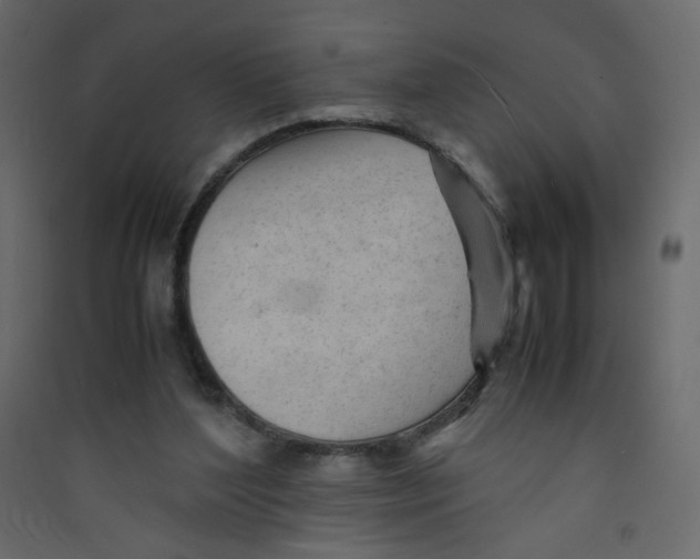 X0000089450204200707131933