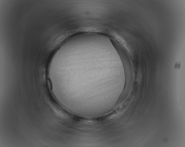 X0000089450205200707131933