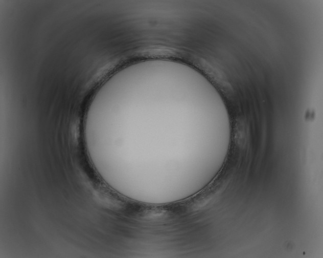 X0000089450206200707131933