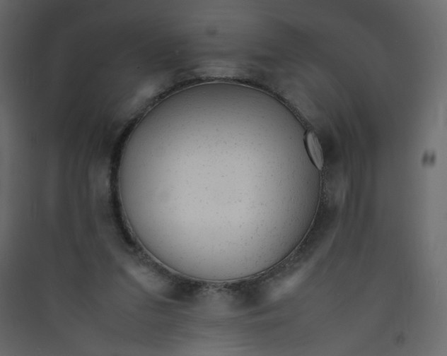 X0000089450207200707131933