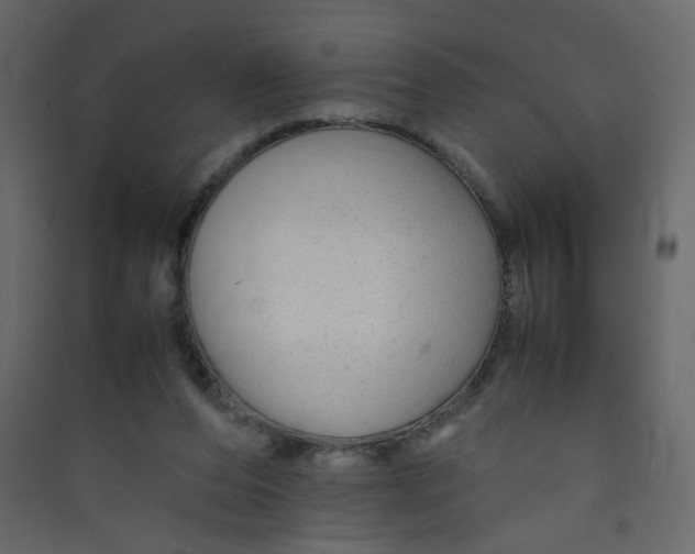 X0000089450208200707131933