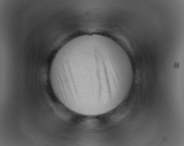 X0000089450210200707131933