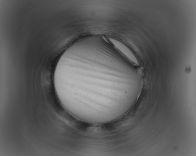 X0000089450211200707131933