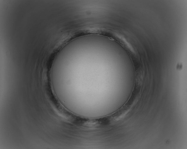 X0000089450213200707131933