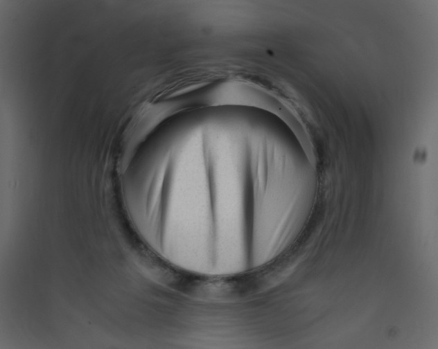 X0000089450217200707131933