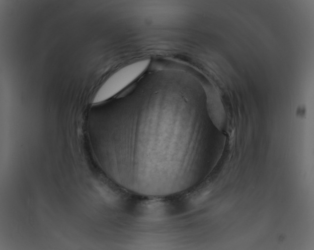 X0000089450219200707131933