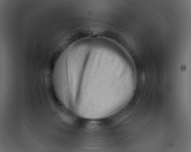 X0000089450222200707131933