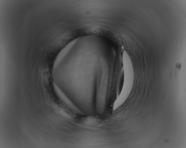 X0000089450223200707131933