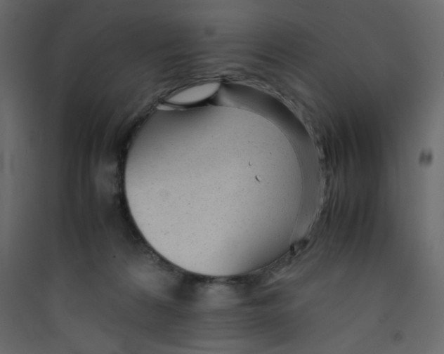 X0000089450224200707131933