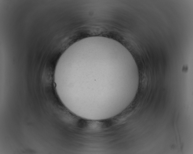 X0000089450226200707131933